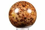 Polished Bauxite (Aluminum Ore) Sphere - Russia #316274-1